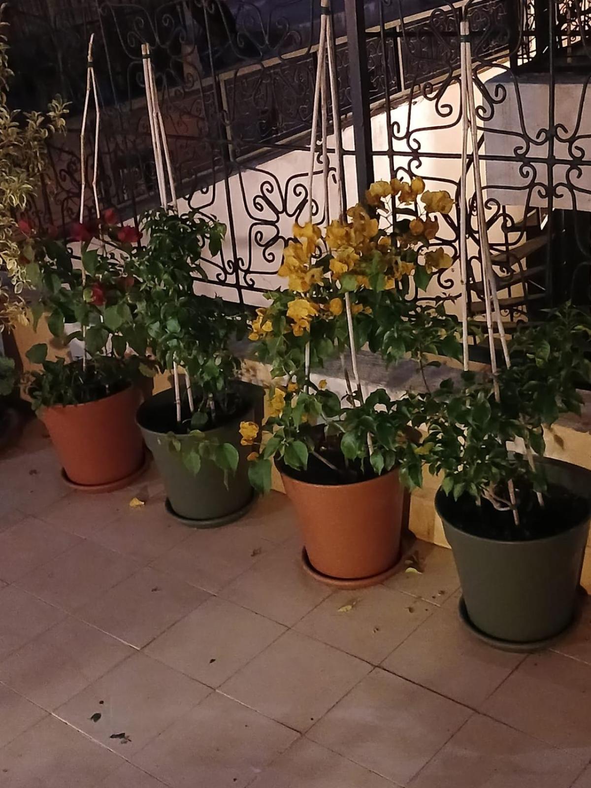 Riad Dantella Маракеш Екстериор снимка
